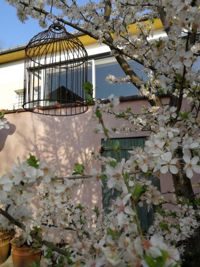 Un Verger Dans La Ville Saint-Parres-aux-Tertres Exterior foto
