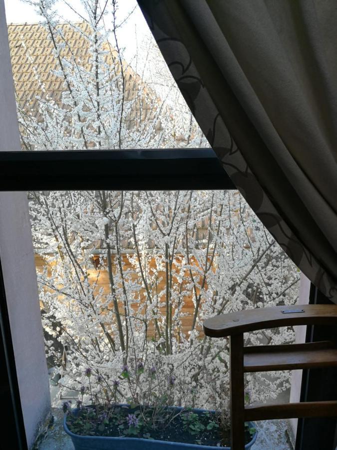 Un Verger Dans La Ville Saint-Parres-aux-Tertres Exterior foto